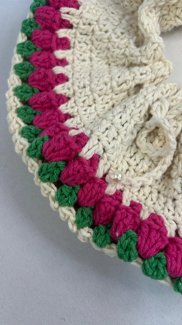 BOLSA PARA PRATOS