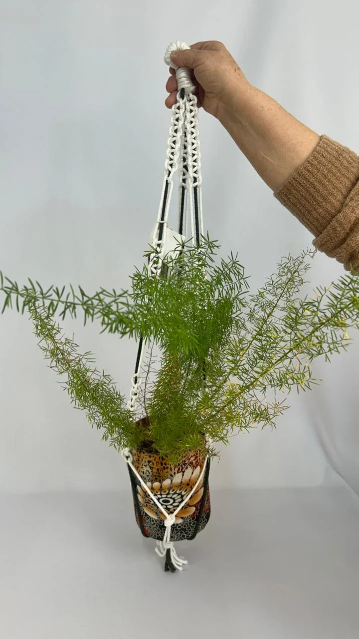 SUPORTE DE PLANTAS