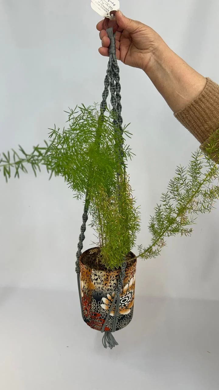 SUPORTE DE PLANTAS