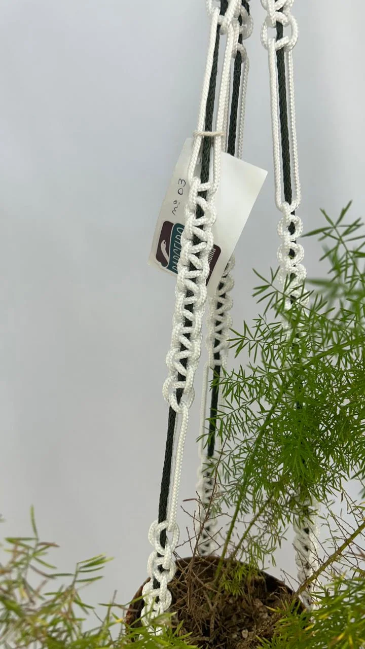 SUPORTE DE PLANTAS